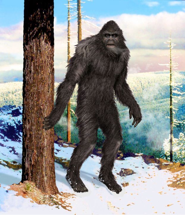 Immer wieder behaupten Menschen auf der ganzen Welt, Bigfoots Fußabdrücke ge... - Bildquelle: A&E Television Networks/Prometheus Entertainment